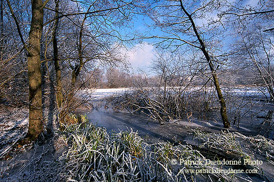 Etang pris par les glaces en hiver, près de Toul, France - 17139