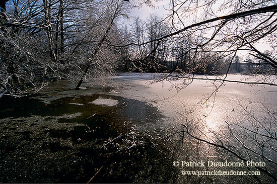 Etang pris par les glaces en hiver, près de Toul, France - 17140