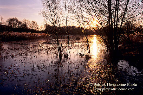 Etang pris par les glaces en hiver, près de Toul, France - 17141