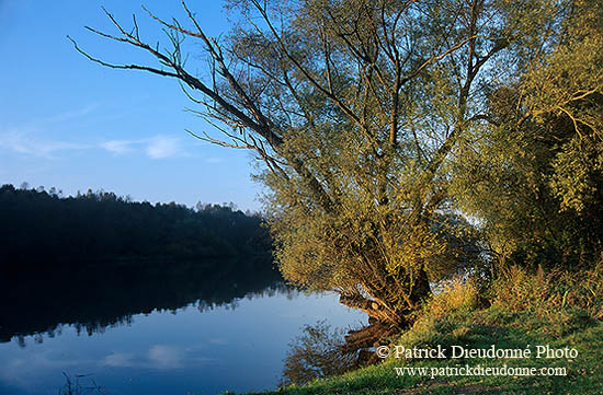 La Moselle sauvage près de Toul (54), Lorraine,France - 17152