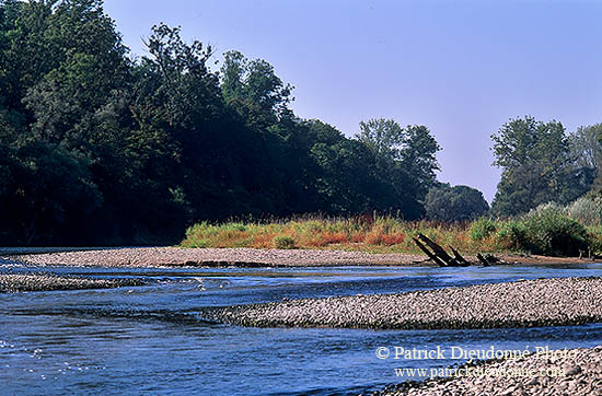 La Moselle sauvage près de Toul (54), Lorraine, France - 17154