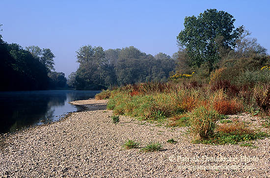 La Moselle sauvage près de Toul (54), Lorraine, France - 17155