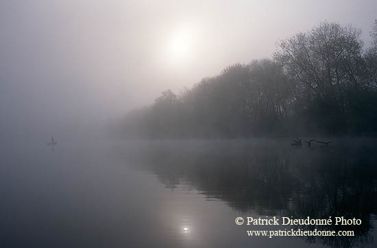 Moselle et pêcheur, petit matin, Lorraine, France - 17158