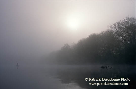 Moselle et pêcheur, petit matin, Lorraine, France - 17159