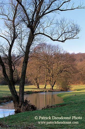 Vallée de l'Esch, Lorraine, France - Esch valley - 17186