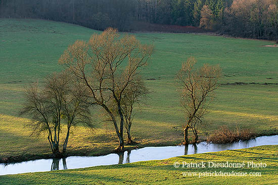 Vallée de l'Esch, Lorraine, France - Esch valley - 17188