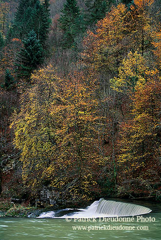 Rivière du Jura, France - River, Jura - 17076