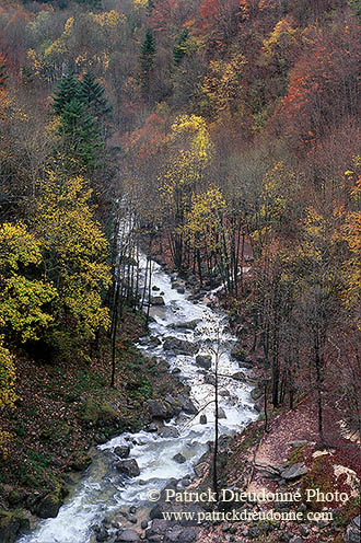 Vallée du Hérisson, Jura, France - 17073