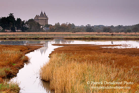 Château et marais de Suscinio, Morbihan, France - 17242