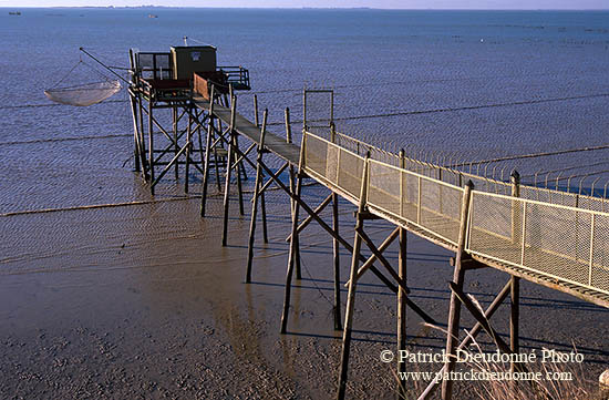 Pêche au carrelet, Vendée, France - 17238