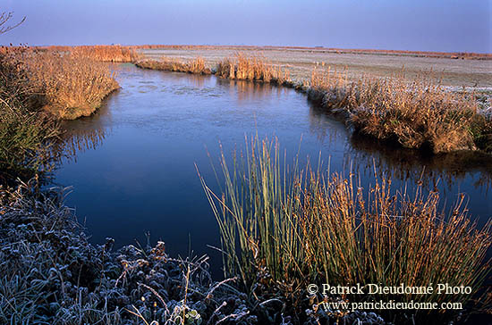 Marais de Machecoul, Vendée, France - Machecoul marshes - 17247