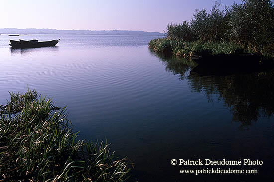 Lac de Grand-Lieu, Loire-Atlantique, France - 17248