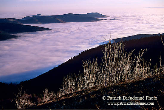 Aube depuis le Hohneck, Vosges, France - 17255