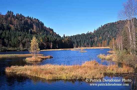 Lac de Lispach, près de la Bresse, Vosges, France - 17263