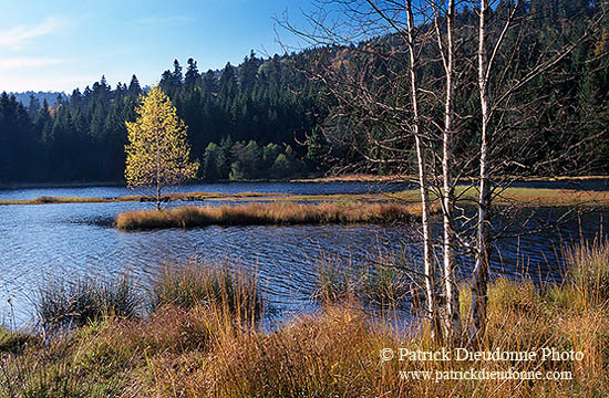 Lac de Lispach, près de la Bresse, Vosges, France - 17265