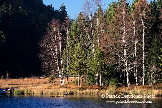 Lac de Lispach, près de la Bresse, Vosges, France - 17268