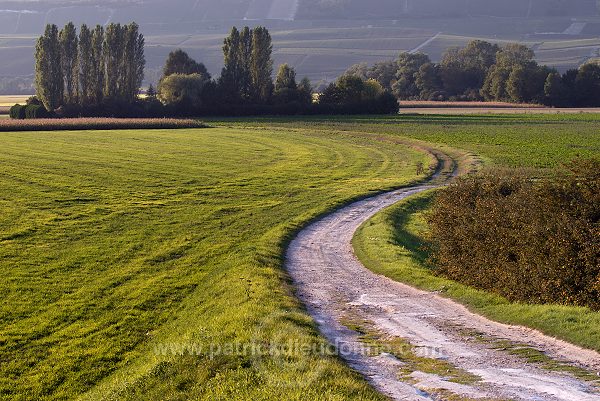 Plaine agricole pres de Chatillon, Marne (51), France - FMV356