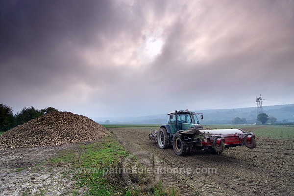 Agriculture intensive, vallee Marne (51), France - FMV361