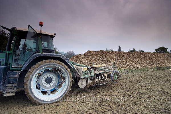 Agriculture intensive (betterave) Ã  Damery - FMV363