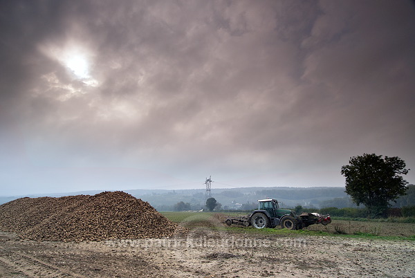 Agriculture intensive, vallee Marne (51), France - FMV364