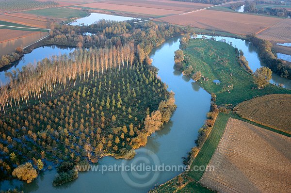 Marne et populiculture, Jalons, Marne (51) - FMV325