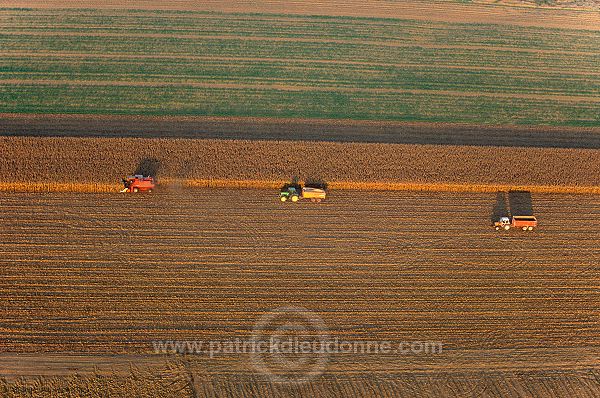 Agriculture, vallee de Marne, Jalons (51), France - FMV328