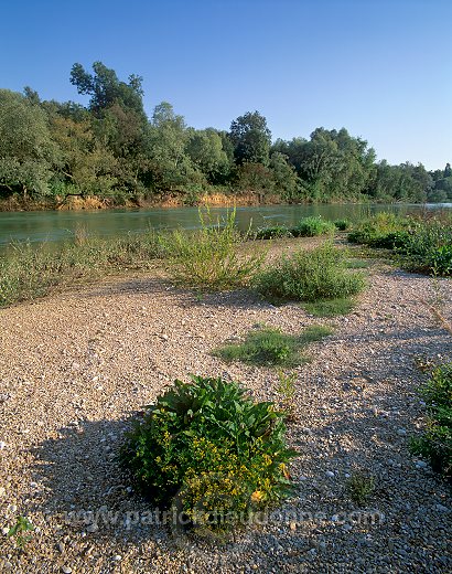Site protege de Vesigneul, Marne (51), France - FMV278