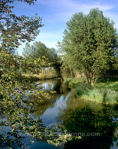 Bras mort pres de Matougues, Marne (51), France - FMV281