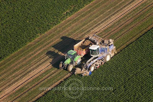 Agriculture, Champagne-Ardenne, France - FMV118