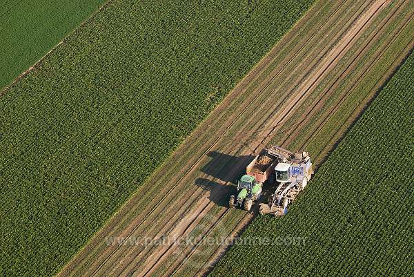 Agriculture, Champagne-Ardenne, France - FMV119