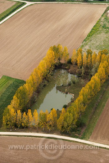 Reuil, vallee de Marne (51), France - FMV228