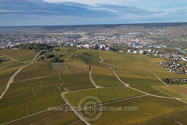 Epernay et vignobles, Marne (51), France - FMV253