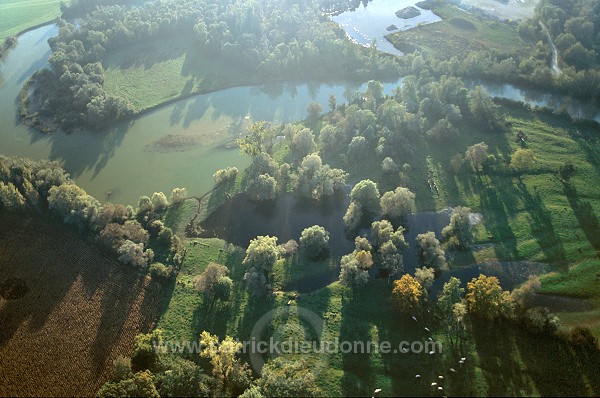 Marne et patures, Vesigneul (51), France - FMV349