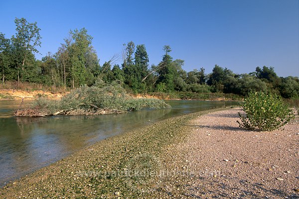 Vesigneul, site protege, Marne (51), France - FMV371