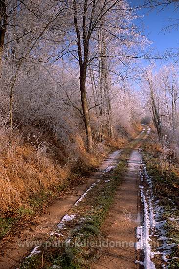 Chemin, canal de l'Est, Meuse - 18257