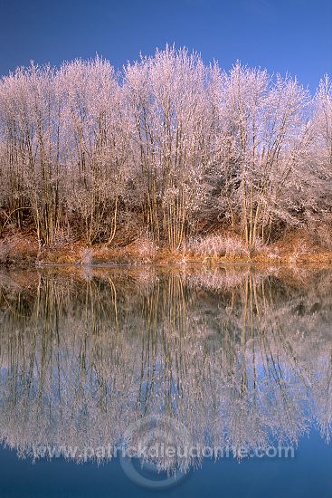 Vue sur le Canal de l'Est en hiver, Meuse - 18259