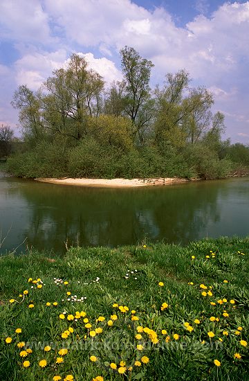 Meuse - Vallee de la Meuse en amont de Saint-Mihiel - 18295