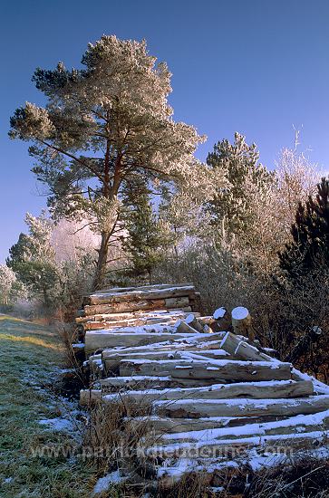 Meuse - coteau calcaire en hiver - 18305