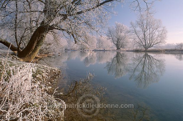 Arbres, givre, Meuse en hiver, Lorraine, France - FME177