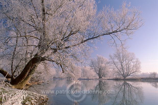 Arbres, givre, Meuse en hiver, Lorraine, France - FME179