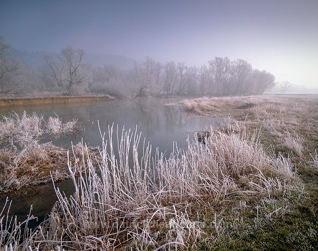 La Meuse en hiver, en amont de Saint-Mihiel - 18413