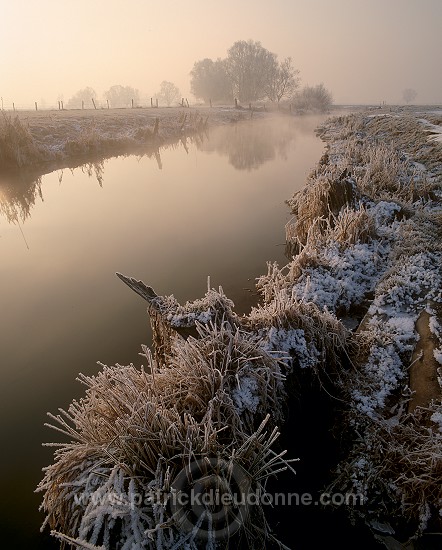 Petite Meuse en hiver, Lorraine, France - FME126