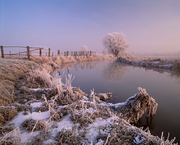 Petite Meuse en hiver, Lorraine, France - FME128