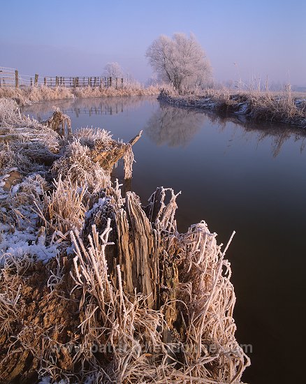 Petite Meuse en hiver, Lorraine, France - FME129
