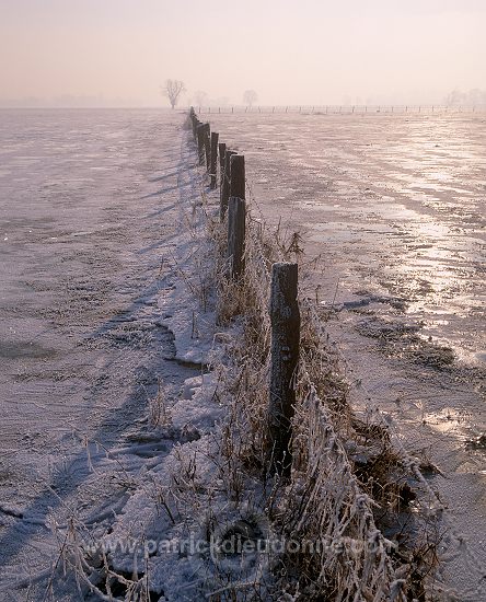 Vallee de Meuse en hiver, Lorraine, France - FME134
