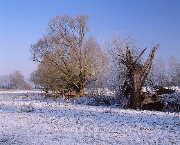 Vallee de Meuse en hiver, Lorraine, France - FME141