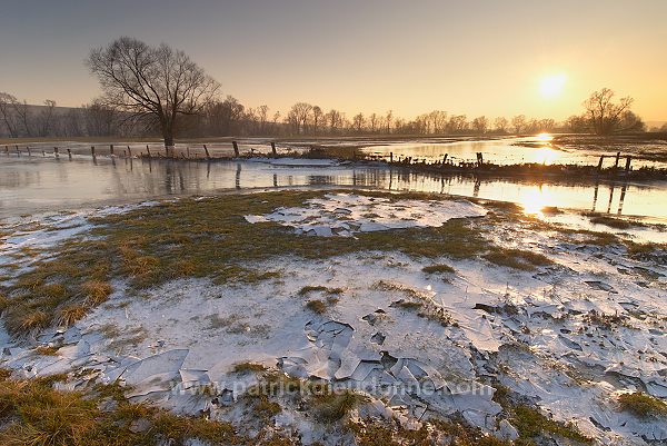 Vallee de Meuse en hiver, Meuse, Lorraine, France - FME037