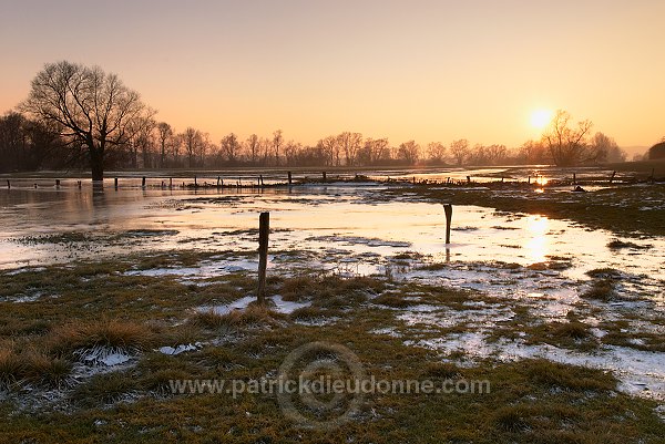 Vallee de Meuse en hiver, Meuse, Lorraine, France - FME041