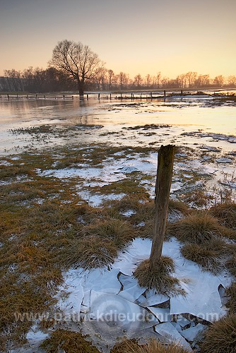 Vallee de Meuse en hiver, Meuse, Lorraine, France - FME044