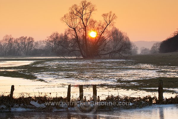 Vallee de Meuse en hiver, Meuse, Lorraine, France - FME045